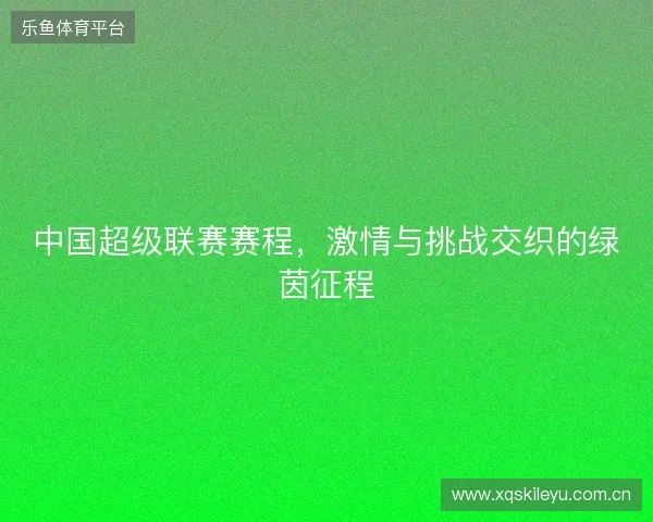 中国超级联赛赛程，激情与挑战交织的绿茵征程